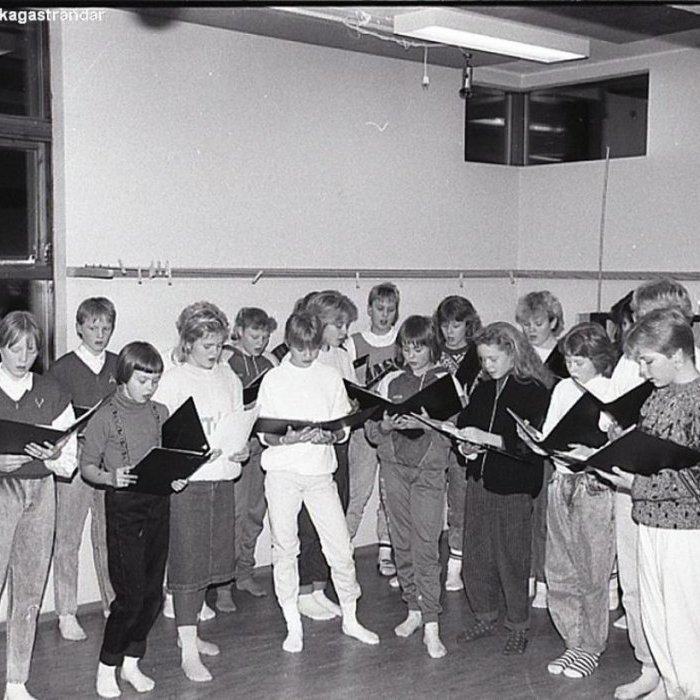 skolakor-jane-stjornar