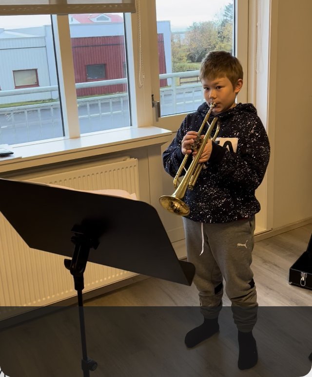 Innlit í kennslustund