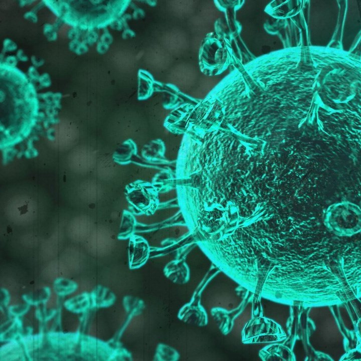 Skólastarf næstu daga